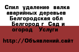Спил, удаление, валка, аварийных деревьев - Белгородская обл., Белгород г. Сад и огород » Услуги   